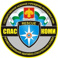 Открытое личное Первенство ГКУ «СПАС-КОМИ» по спортивному ориентированию в ночных условиях Открытое личное Первенство ГКУ «СПАС-КОМИ» по спортивному ориентированию в ночных условиях
